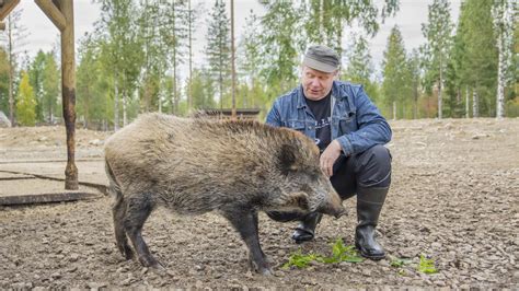 veikka juntunen|Veikka Juntunen Oy konkurssipesä 